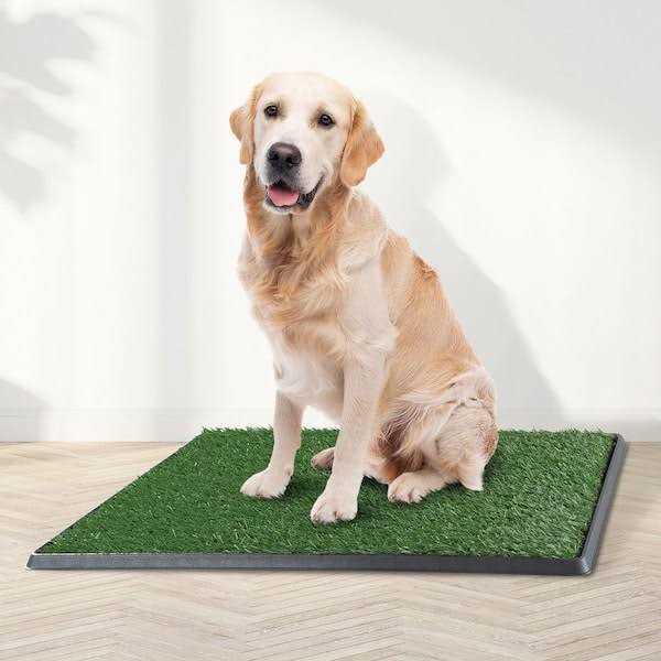 Artificial Grass Dog Potty Pad with Tray E34668