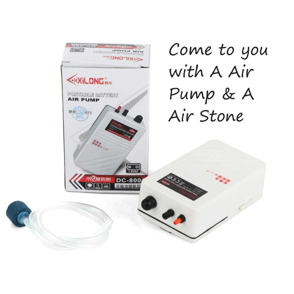 Battery Aquarium Air Pump P924