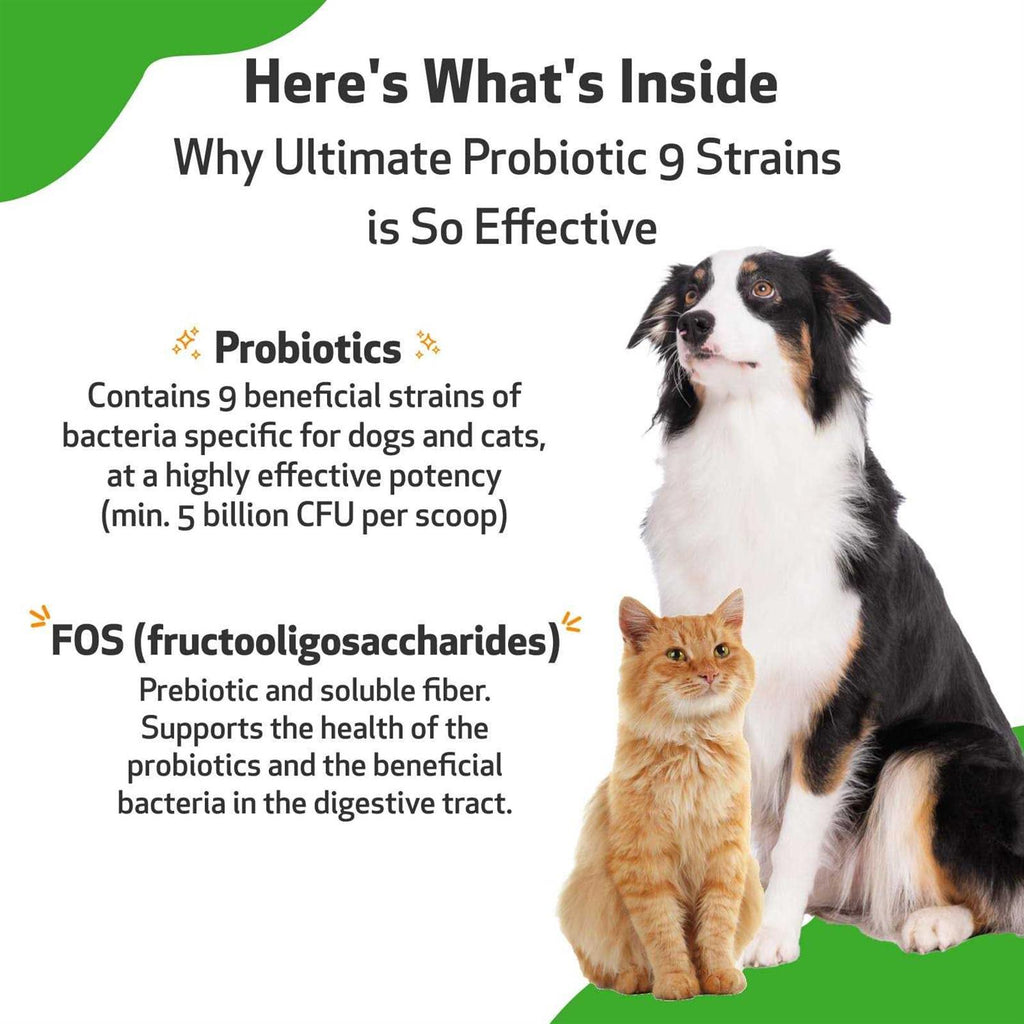 Probiotic 9 Strains for Dogs & Cats O238