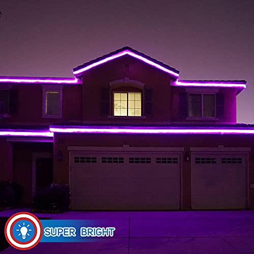 LED Rope Lights Cool White 50 T517