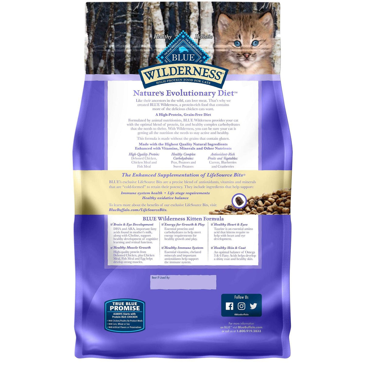 Kitten Dry Food U496522