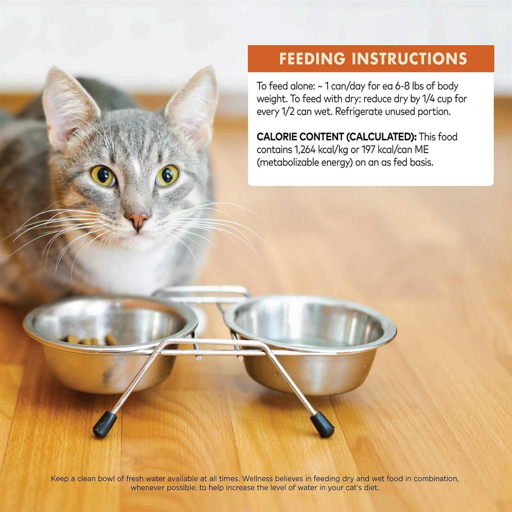 95% Cat Food B16449