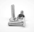 Coarse Thread Carriage Bolt Stainless Steel 18-8 Pk 75 H516