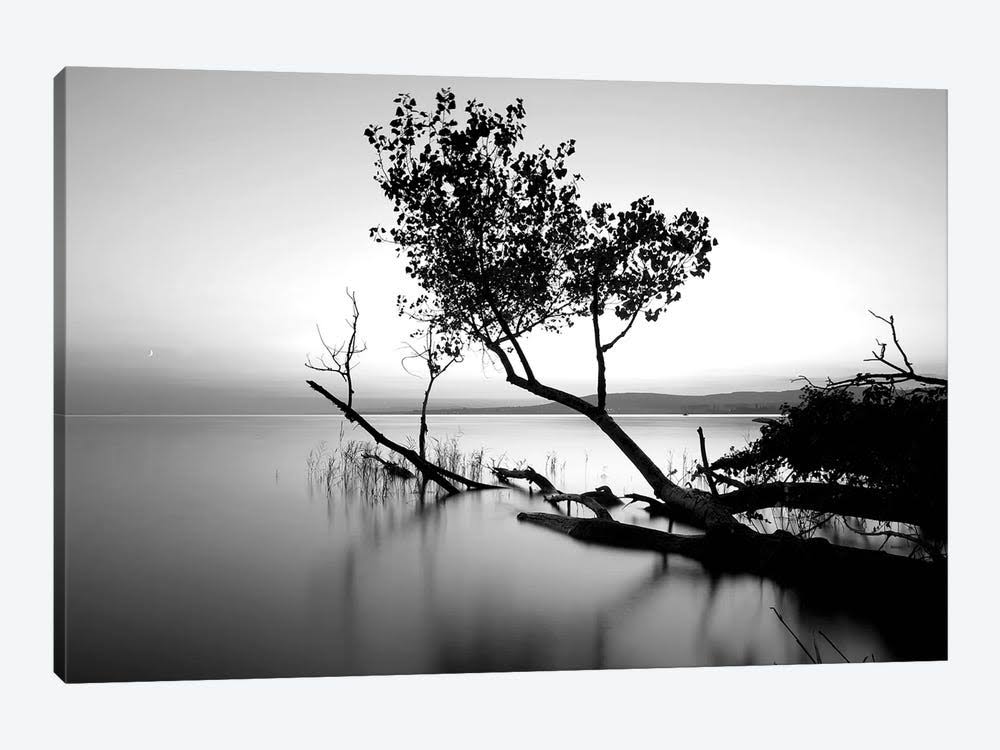 Canvas Wall Decor Prints U939298