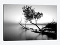 Canvas Wall Decor Prints U939298