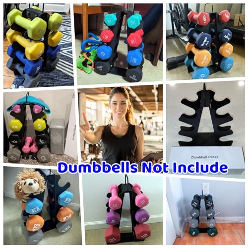 A-Frame Alloy Steel Dumbbell Rack with Handle O45229