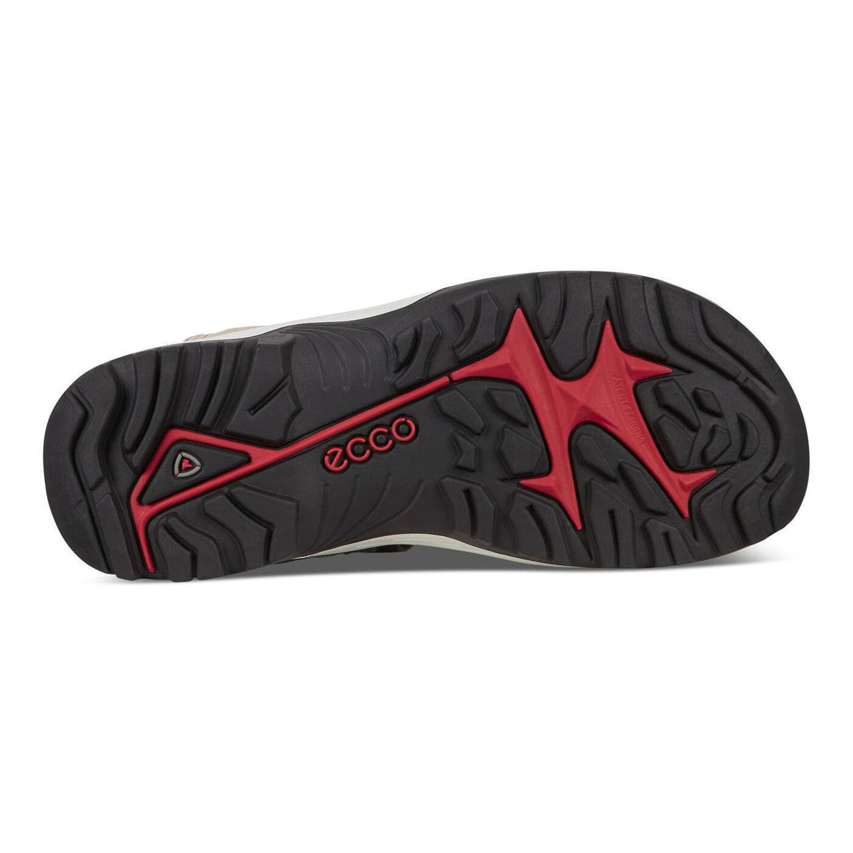 Multicolor Shoes H584