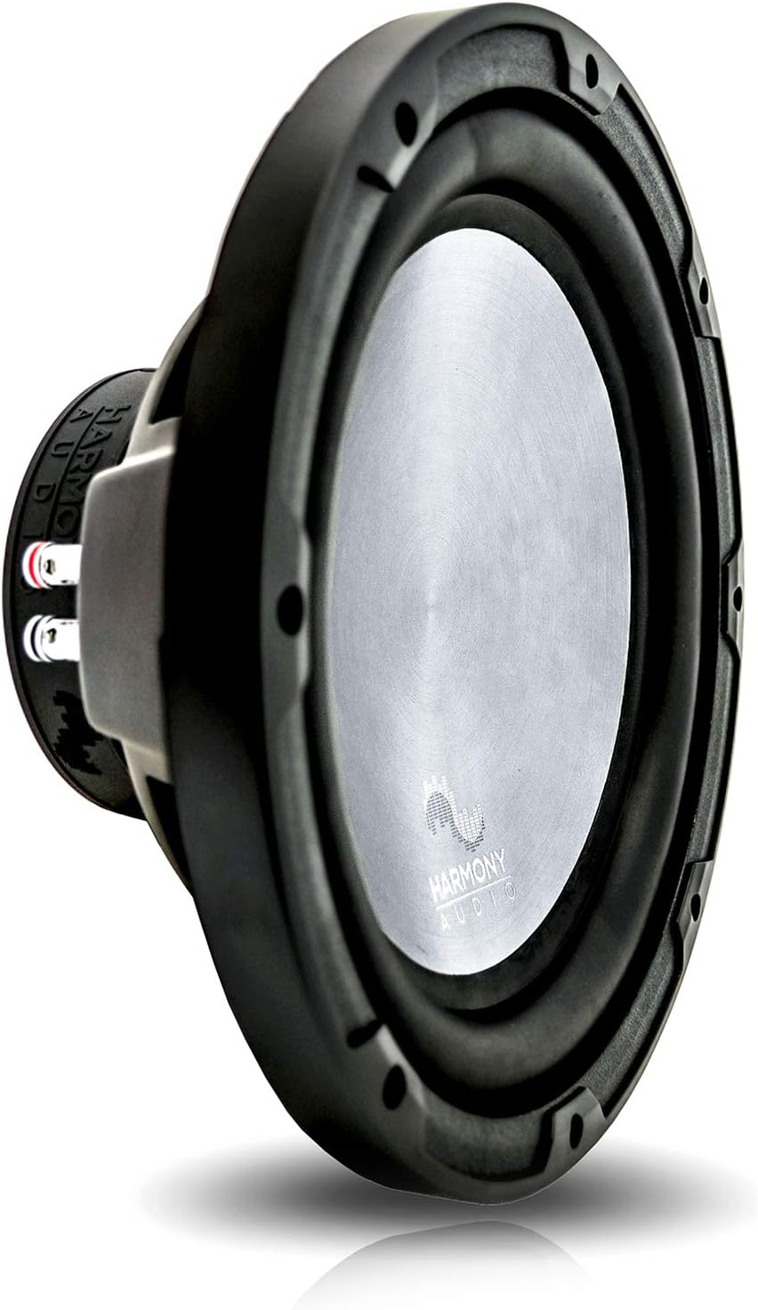 12 Sub 1000W Subwoofer with Amplifier & Amp Kit T3841