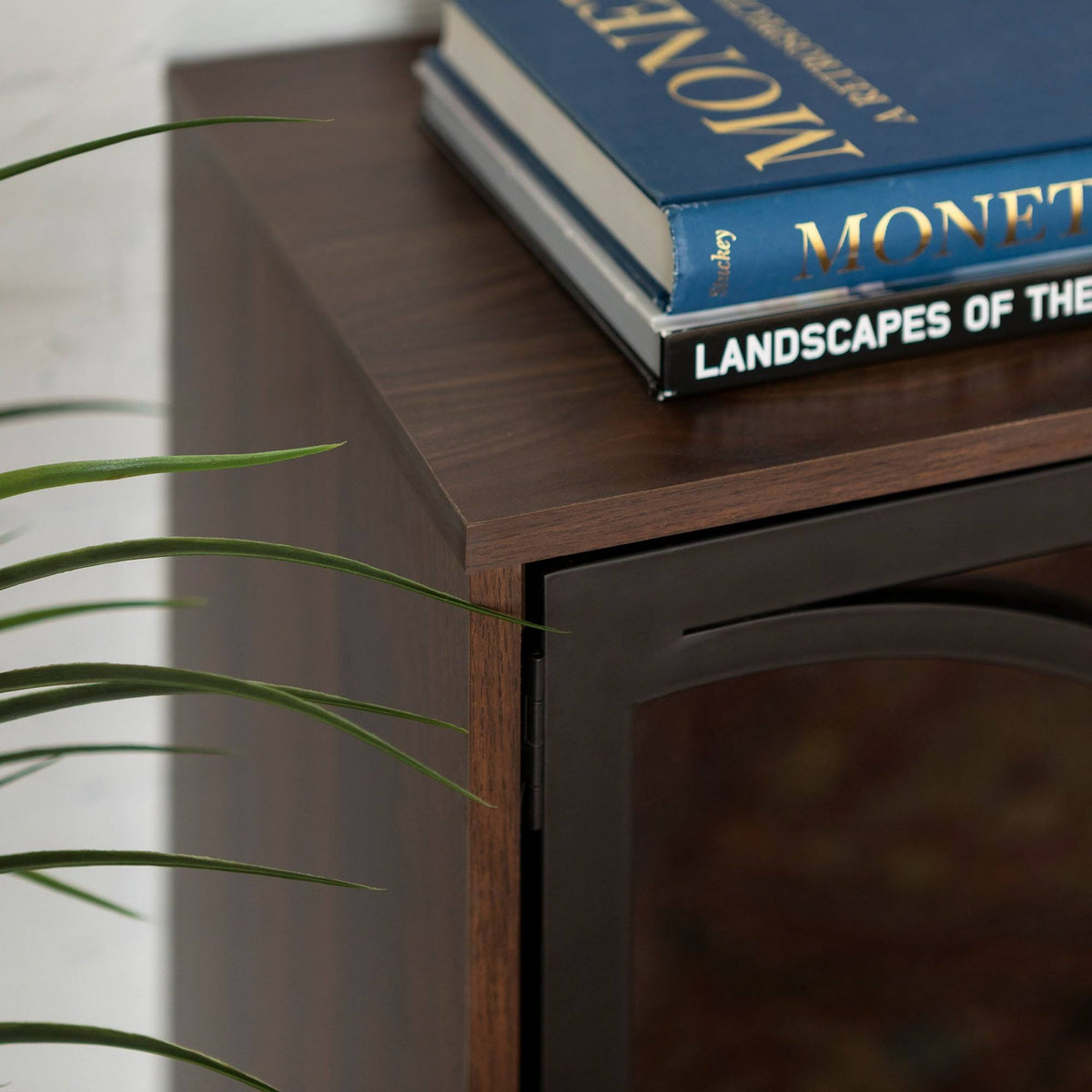 Metal and Glass Door Accent Console R498