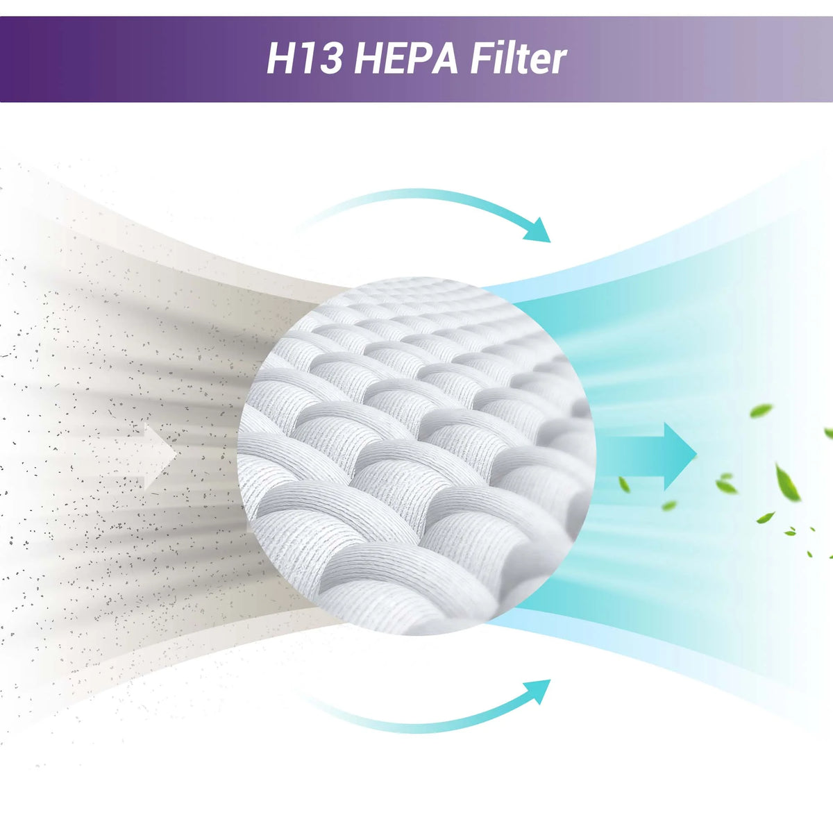 C545 True HEPA Filter Replacement Y893973