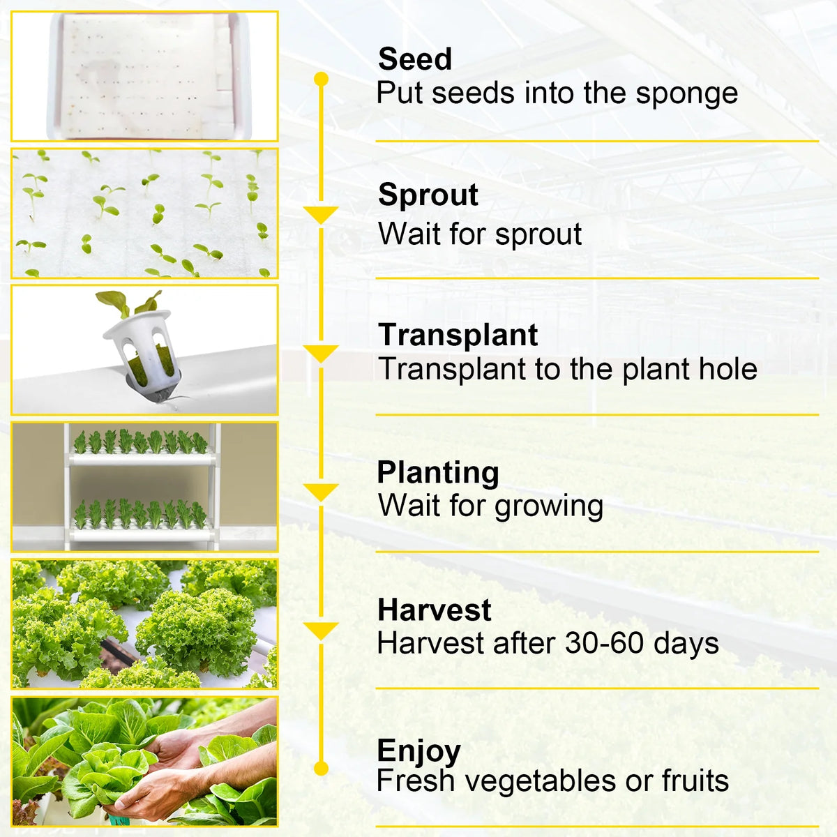 3 Layer 54 Plant Sites Hydroponic Grow Kit with Water Pump and Timer W300454