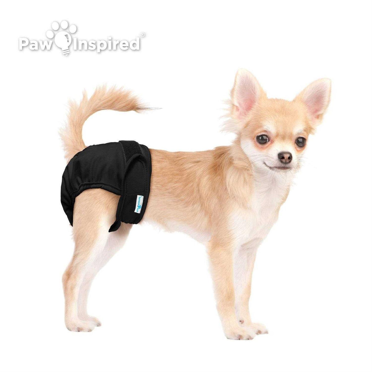 Washable Reusable Female Dog Diapers S20714