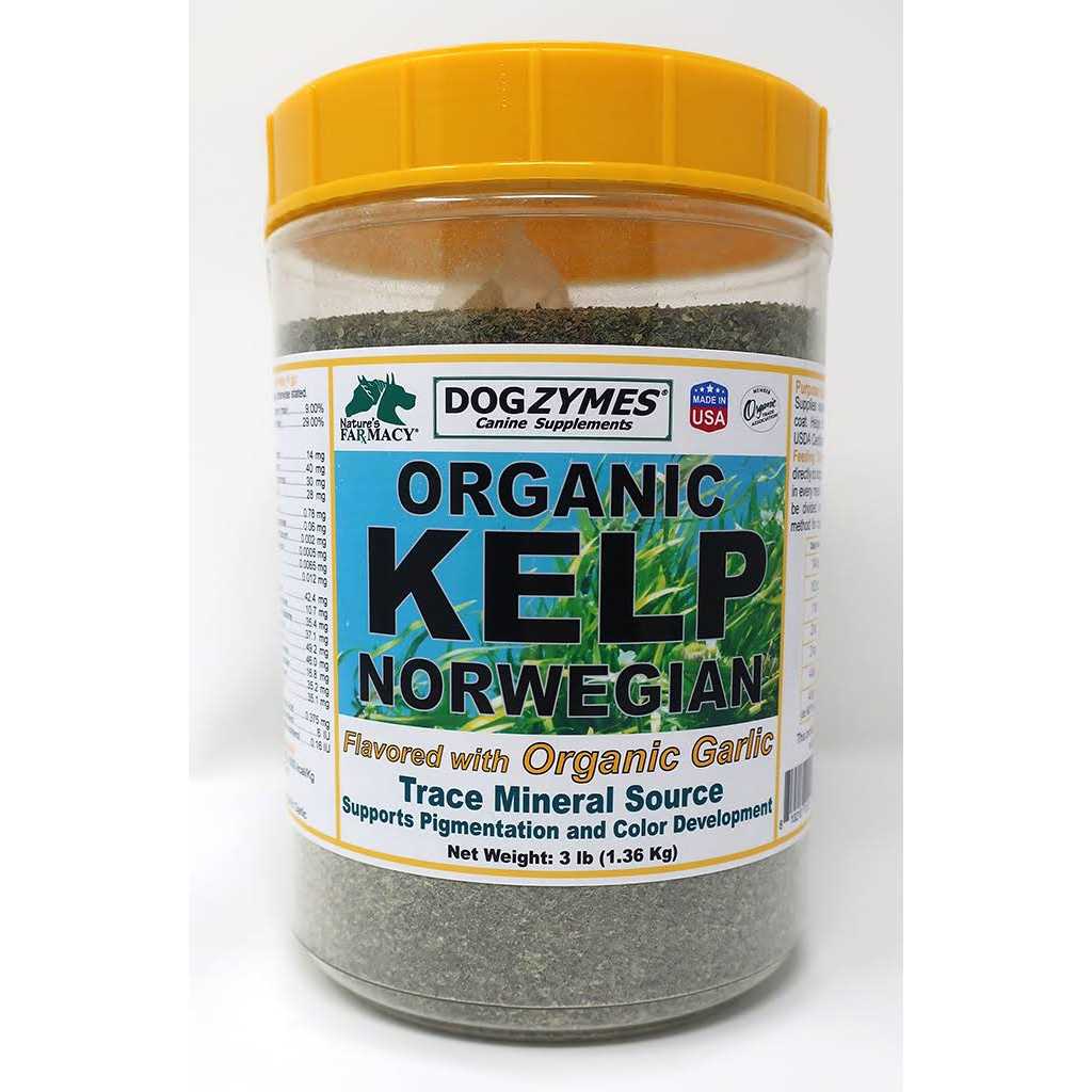 Organic Norwegian Kelp with Organic Garlic R8559