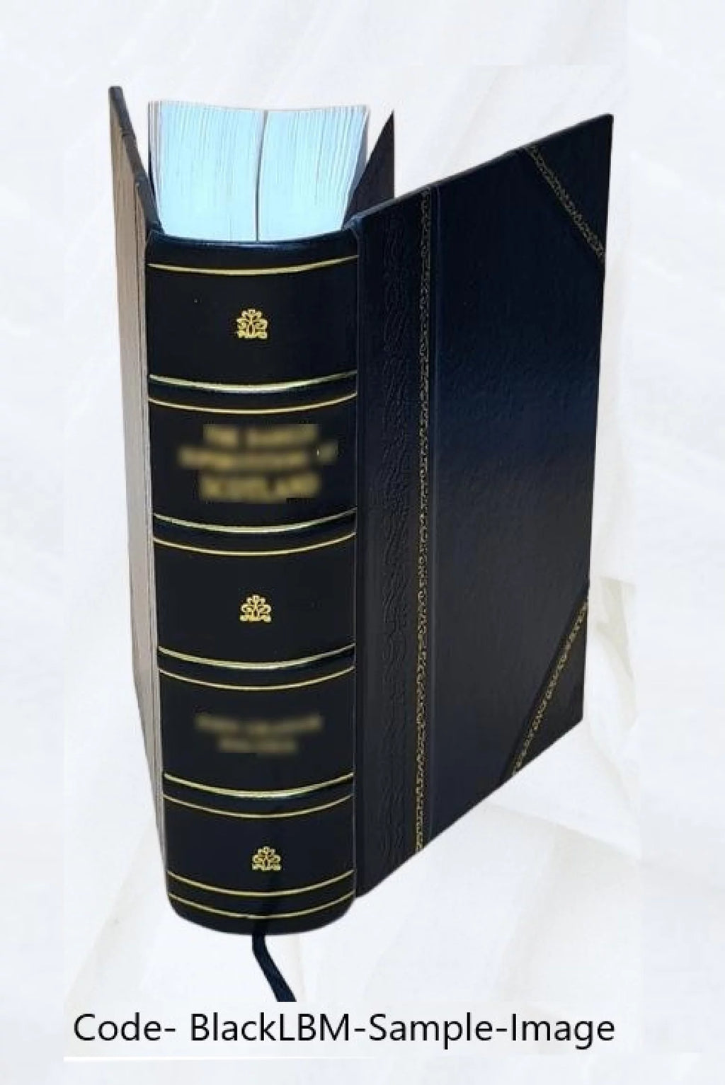 Géologie pratique Leather Bound E683