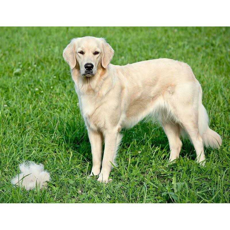 Dog Deshedding Dematting Brush Comb F514137
