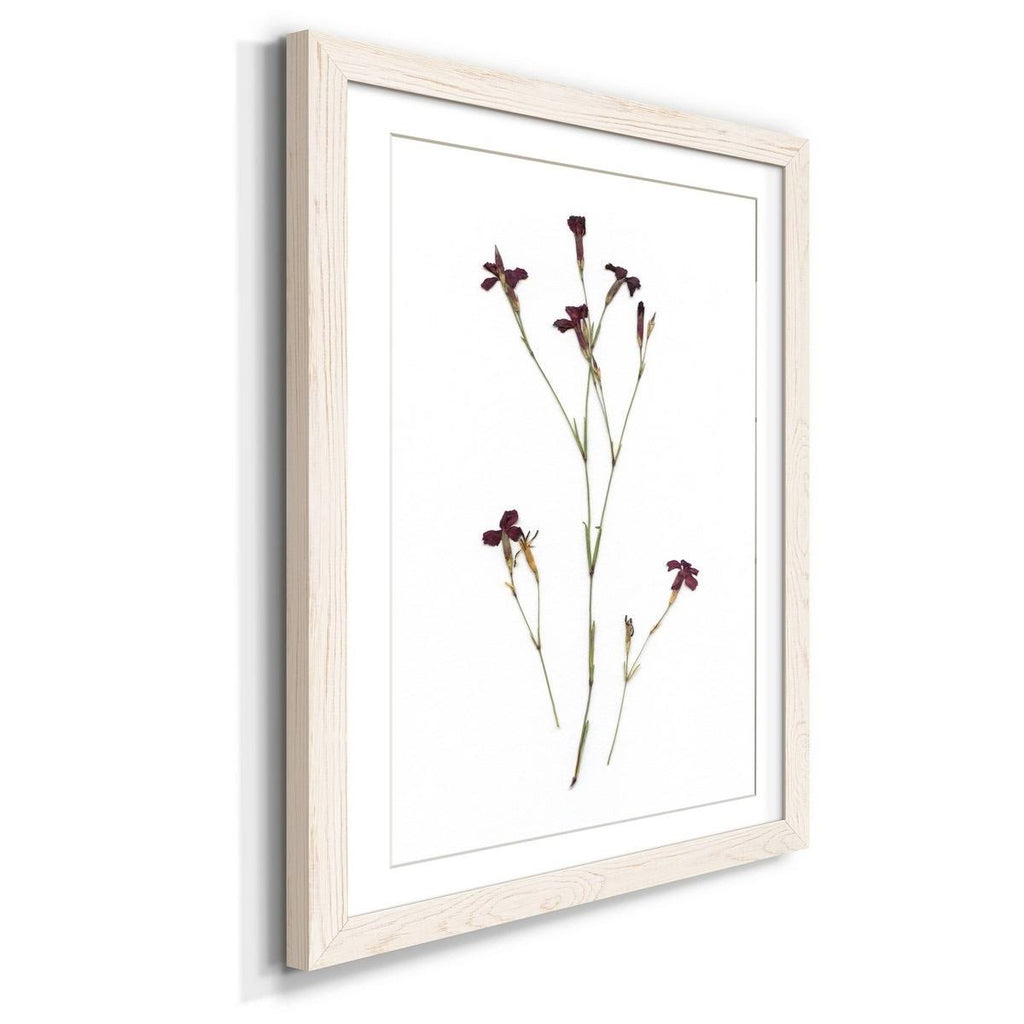 Framed Print 27.5X37.5 Black L48137
