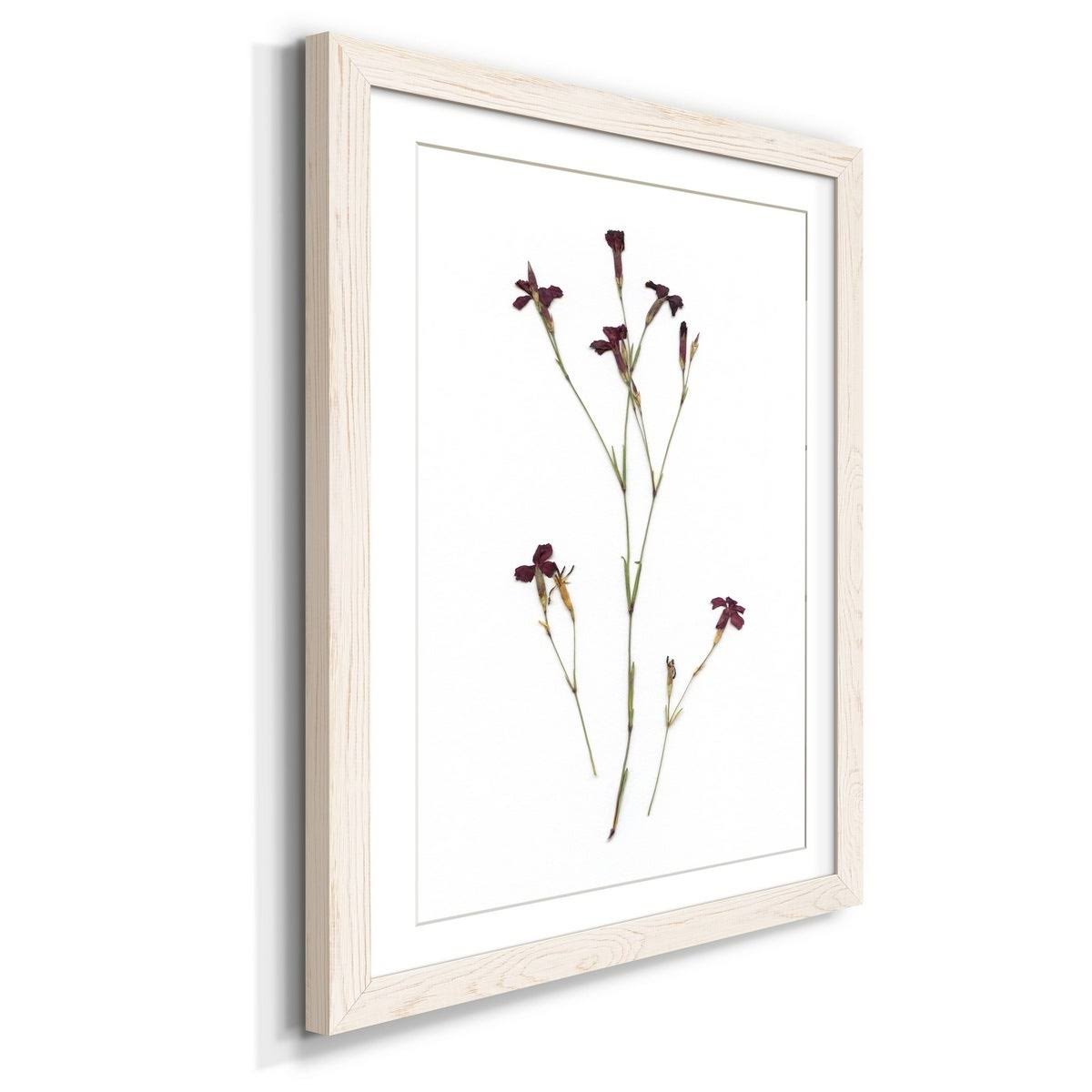 Framed Print 27.5X37.5 Black L48137