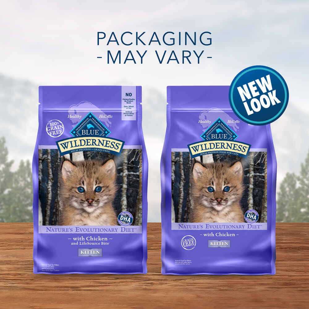 Kitten Dry Food U496522