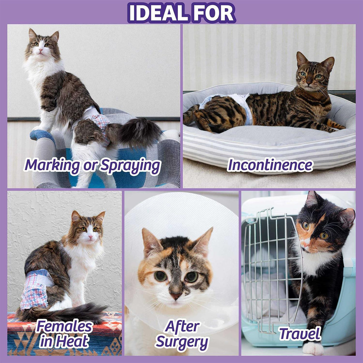 Disposable Cat Diapers W53639