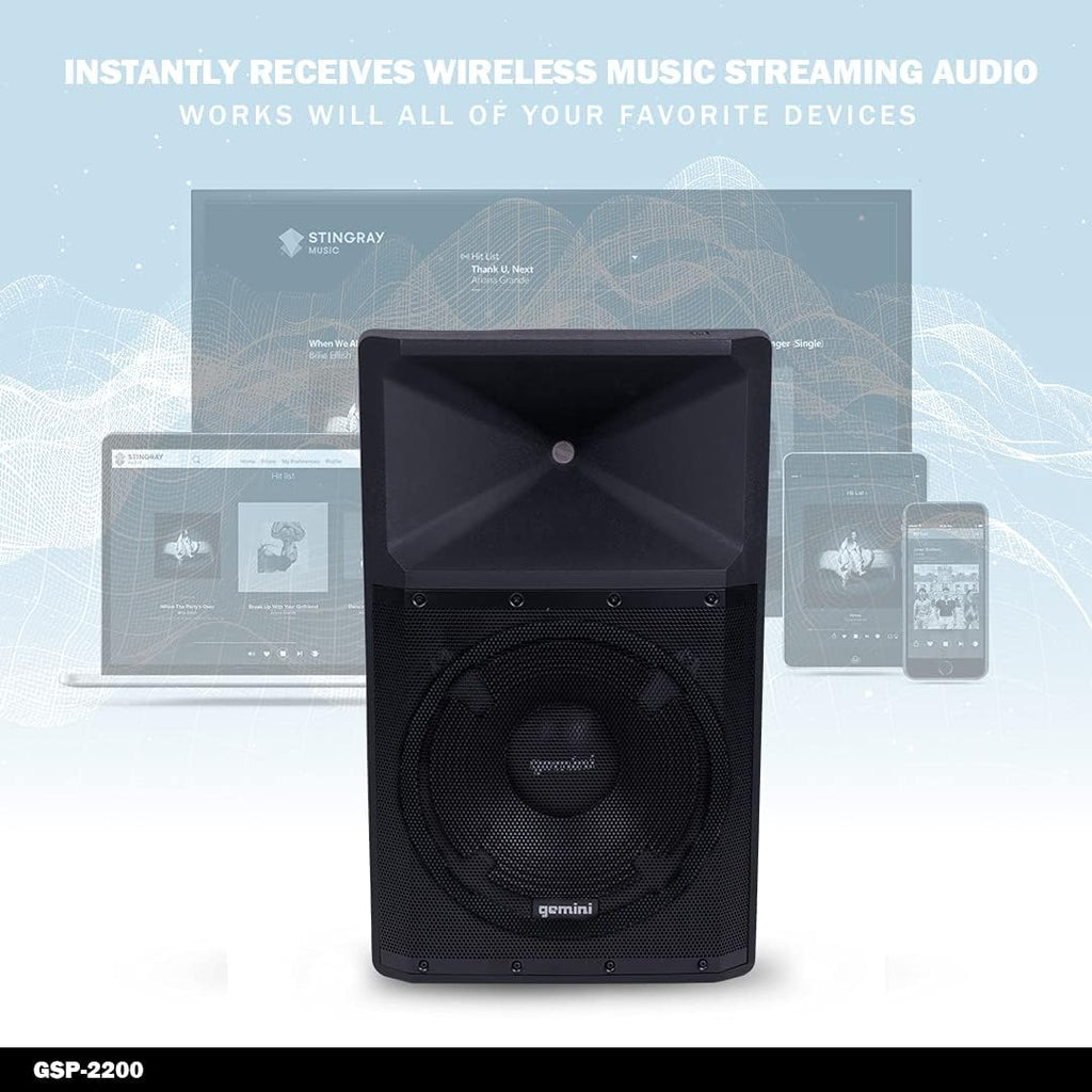 2200W 15 Inch Woofer Bluetooth Trolley Speaker with Media Player, FM Radio, USB, SD Card V289