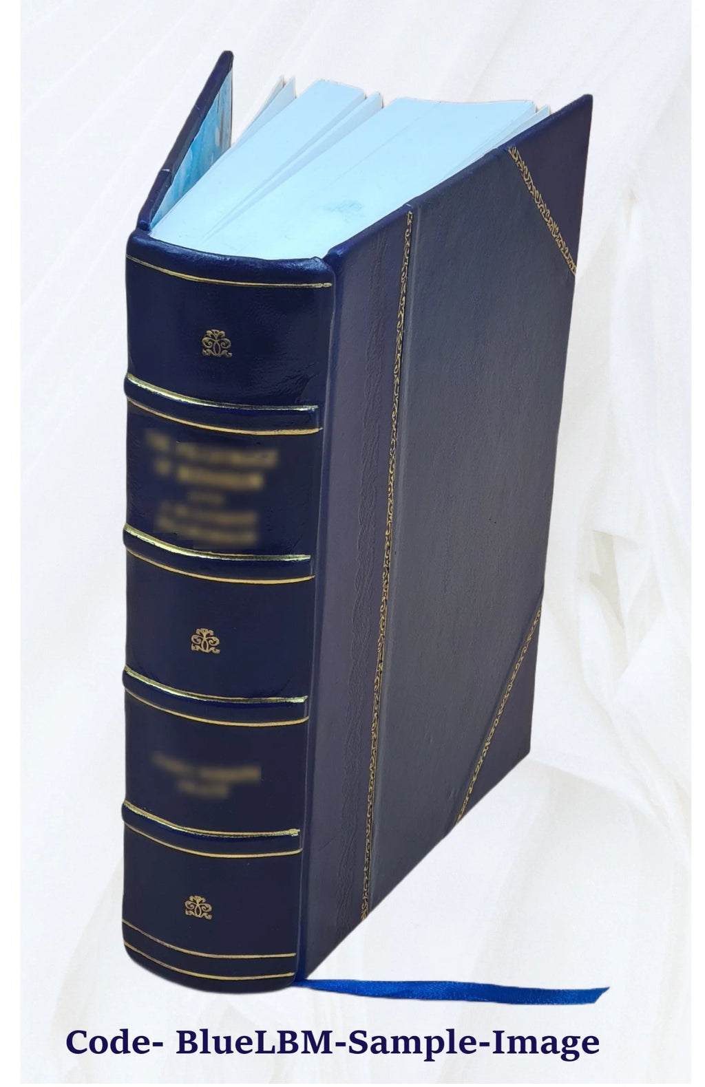 Leather Bound Book F505916