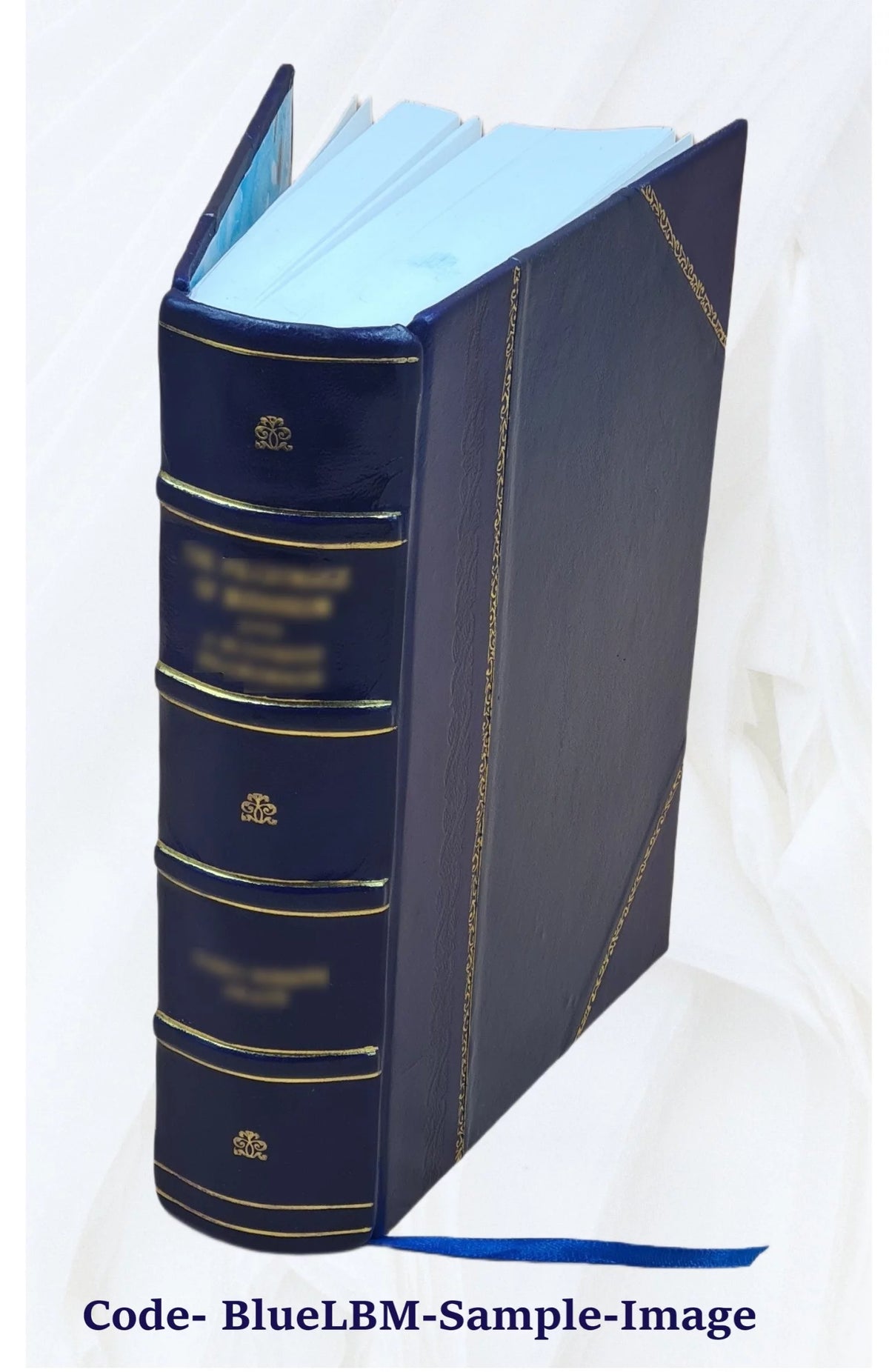 Leather Bound Book F505916