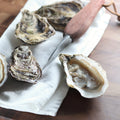 Petite Oysters 50 Pcs H3791
