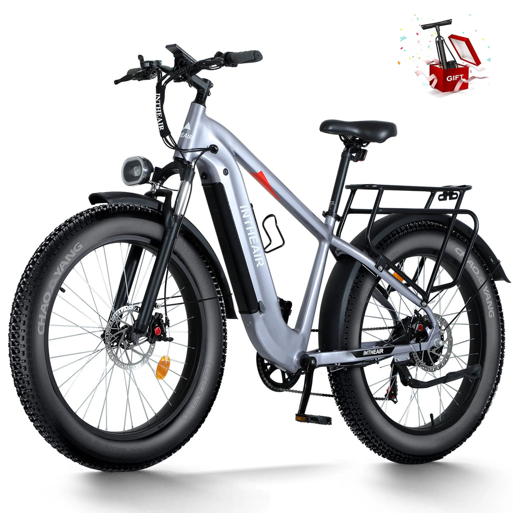 Electric Bike 26 Fat Tire 750W 48V D4182