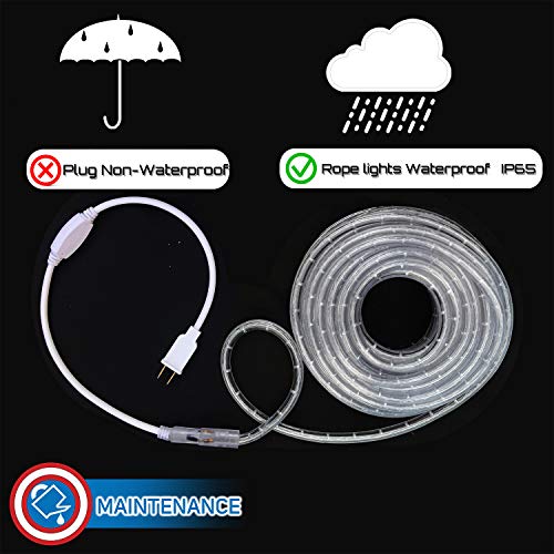 LED Rope Lights Cool White 50 T517