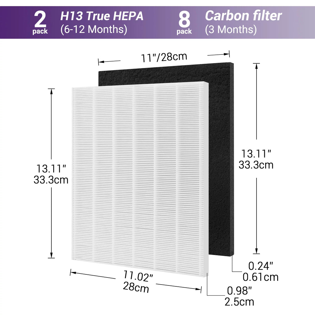C545 True HEPA Filter Replacement Y893973