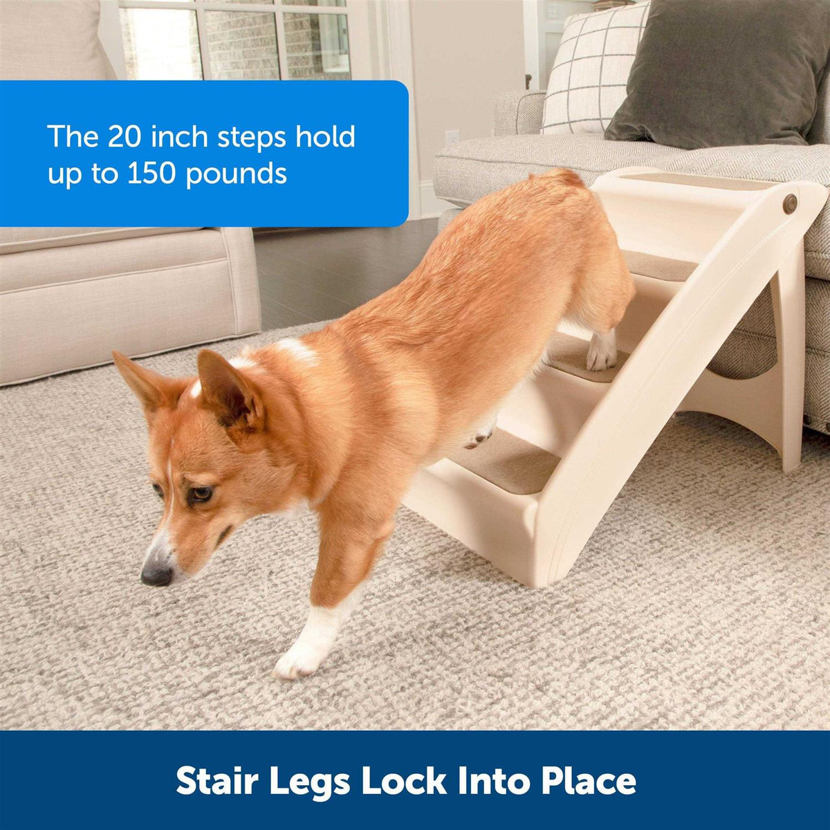 Folding Pet Steps N635