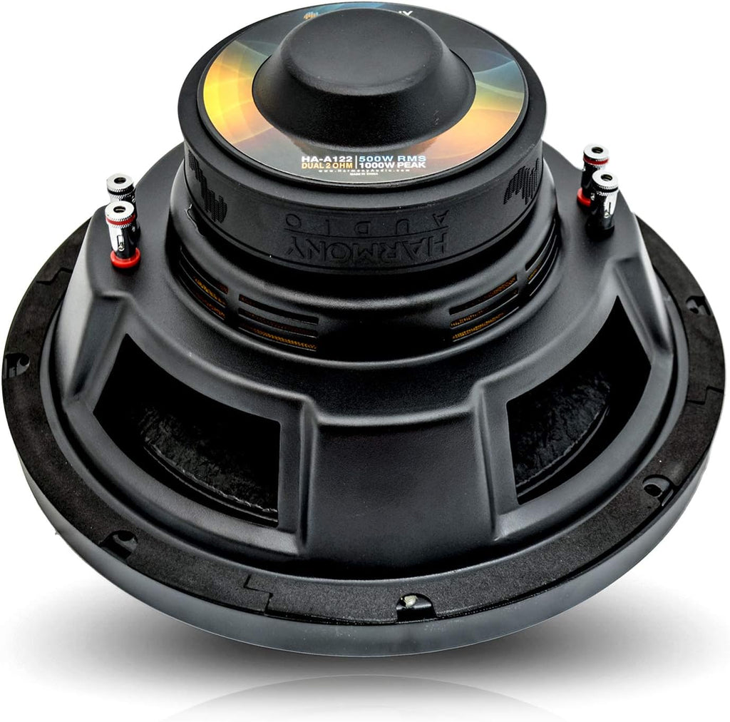 12 Sub 1000W Subwoofer with Amplifier & Amp Kit T3841