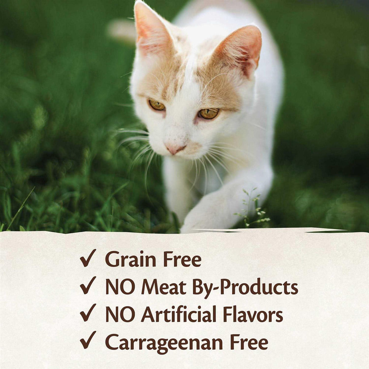 95% Cat Food B16449