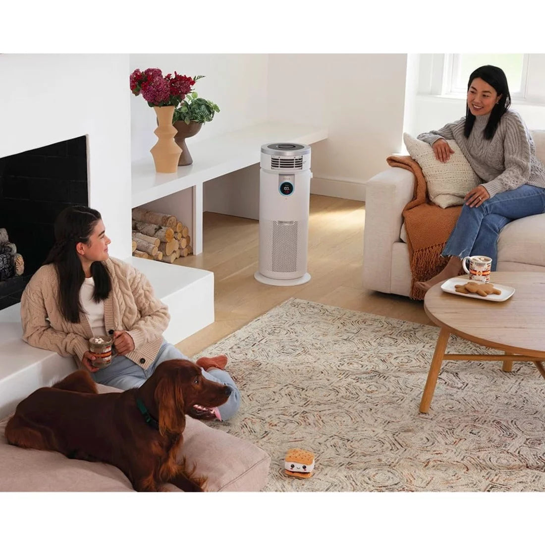 Air Purifier 3-in-1 with True HEPA D68924