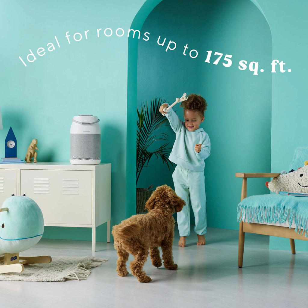True HEPA UV Air Purifier H488