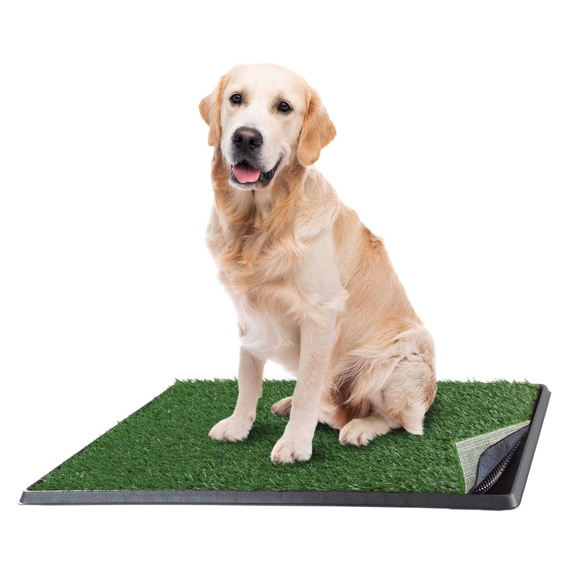 Artificial Grass Dog Potty Pad with Tray E34668