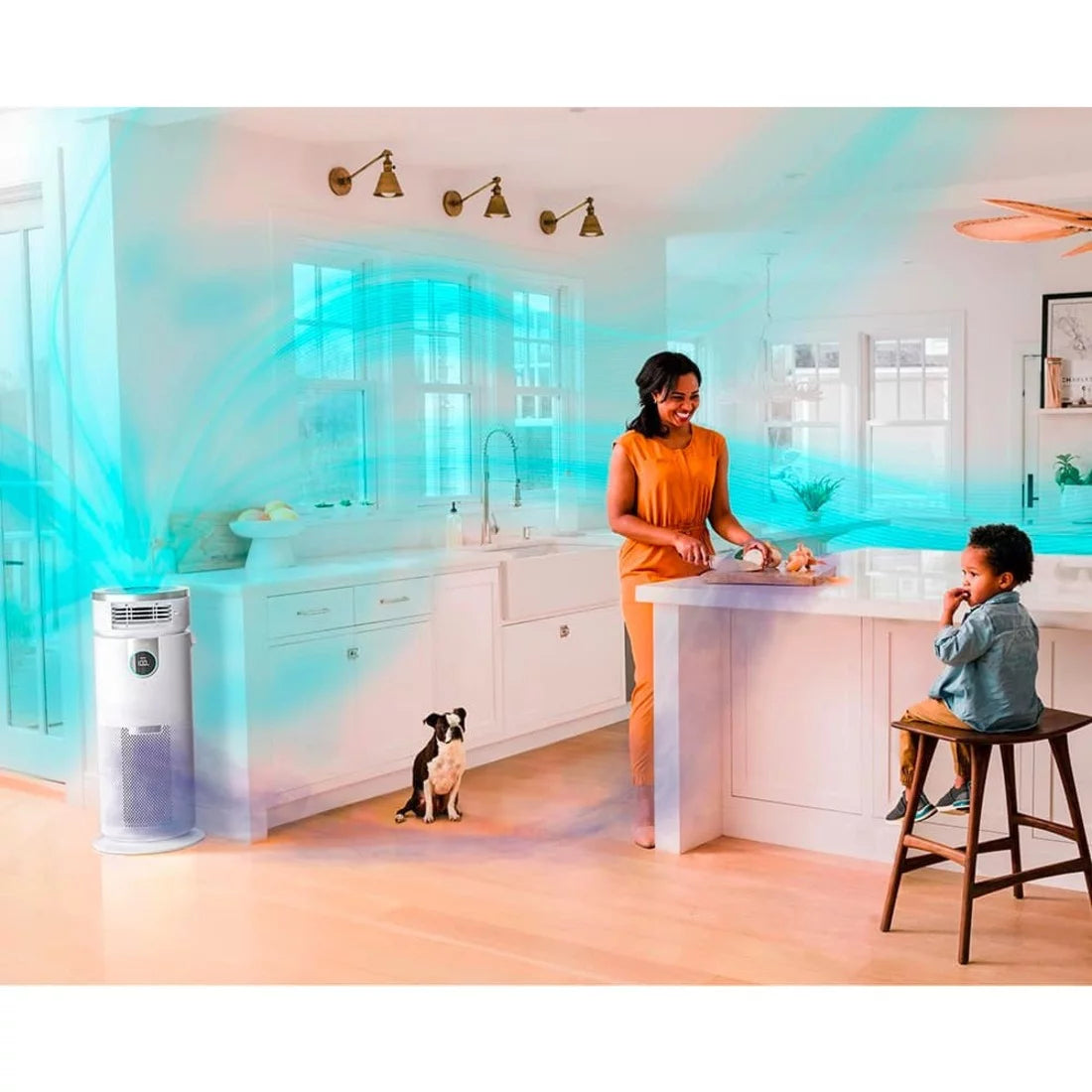 Air Purifier 3-in-1 with True HEPA D68924