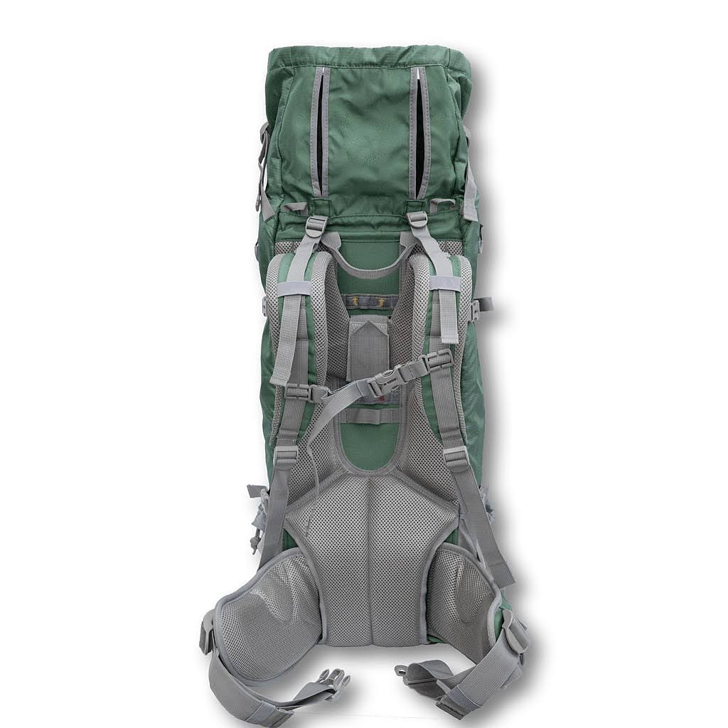 Green Dog Carrier Backpack S6179