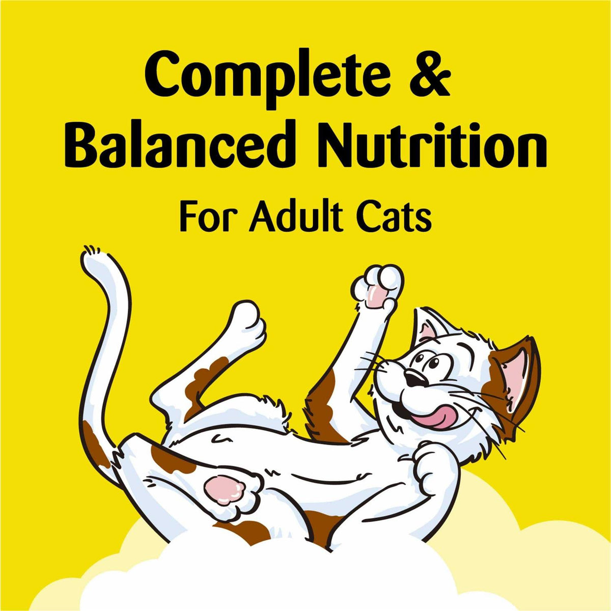 Soft & Crunchy Cat Treats N124