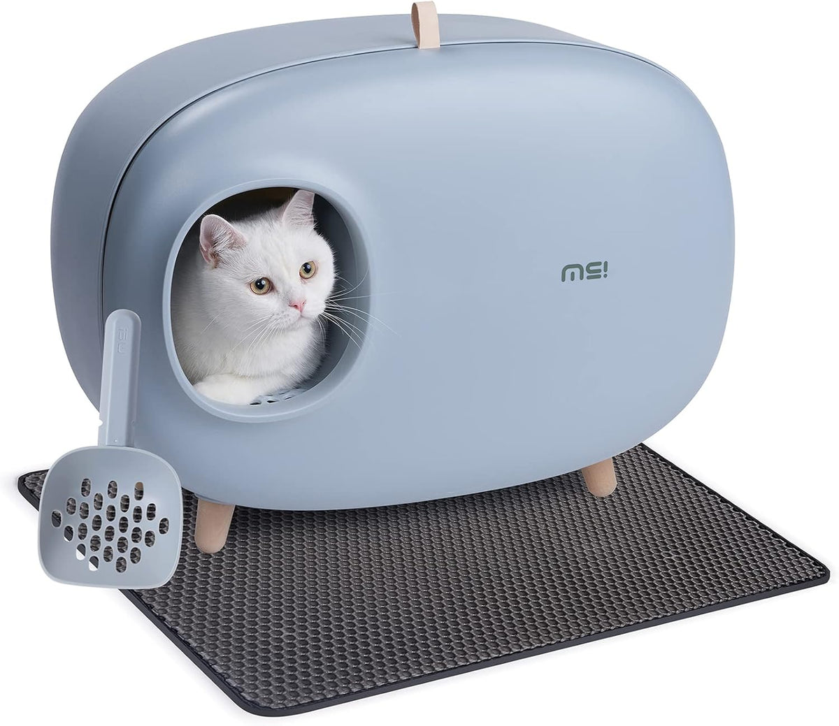 Cat Litter Box With Lid Enclosed Design with Scoop&Mat R4116