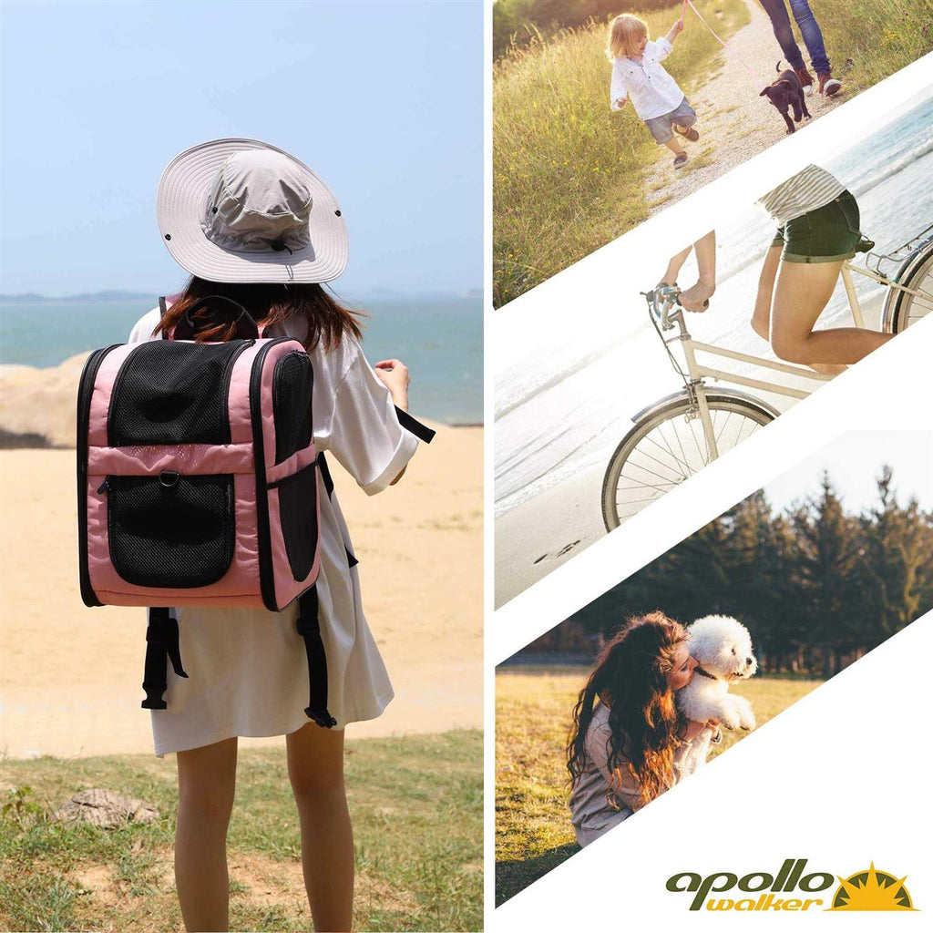 Pet Carrier Backpack for Cats and Dogs D2713