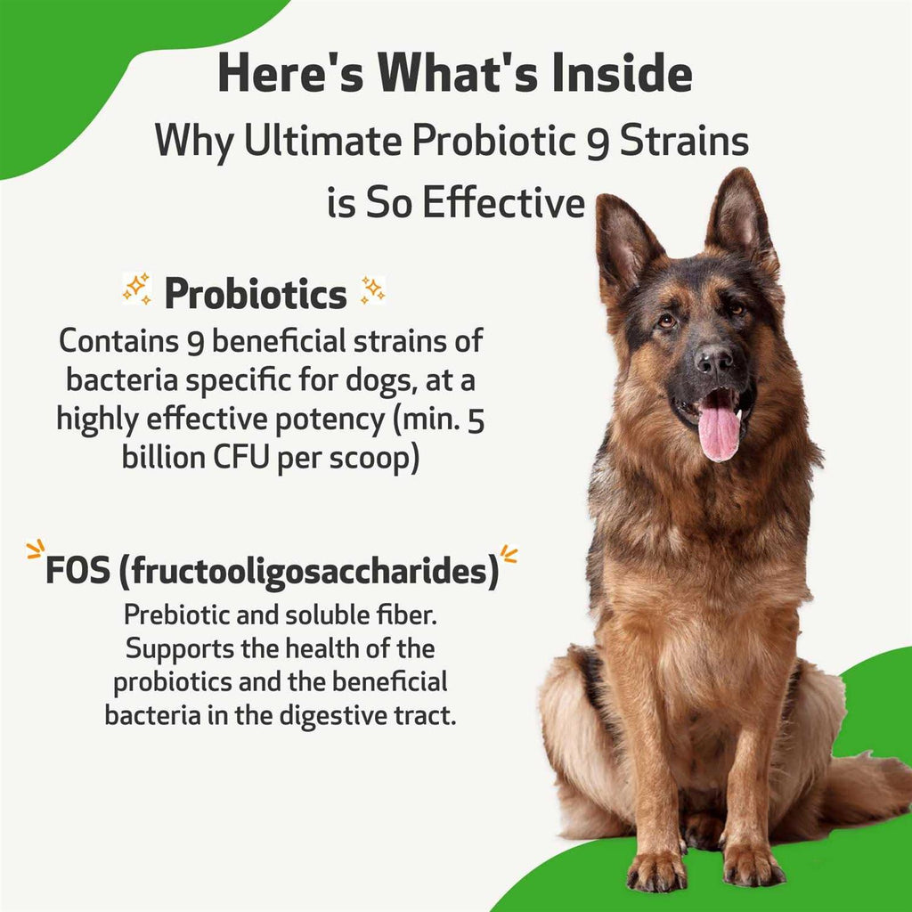 Probiotic 9 Strains for Dogs & Cats O238
