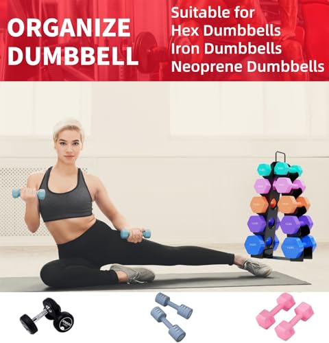 A-Frame Alloy Steel Dumbbell Rack with Handle O45229