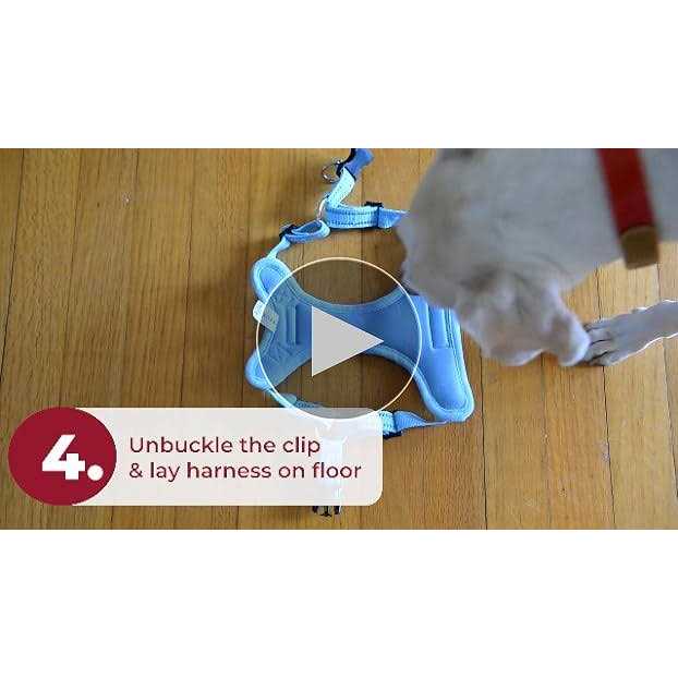 Adjustable Step In Dog Harness L4852