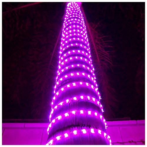 LED Rope Lights Cool White 50 T517