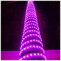 LED Rope Lights Cool White 50 T517