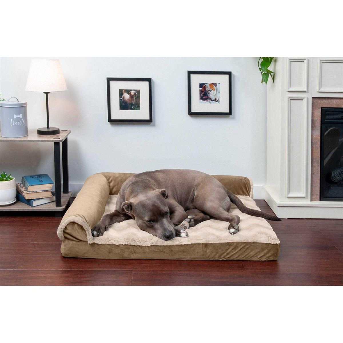 Velvet Chaise Lounge Dog Bed C268042