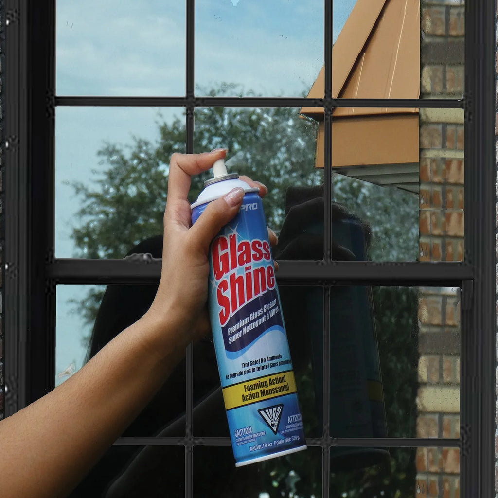 Glass Cleaner, 19 Ounces I584