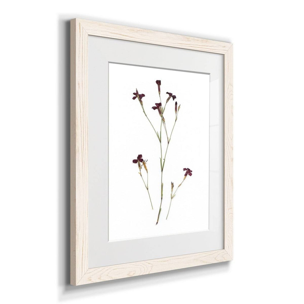 Framed Print 27.5X37.5 Black L48137