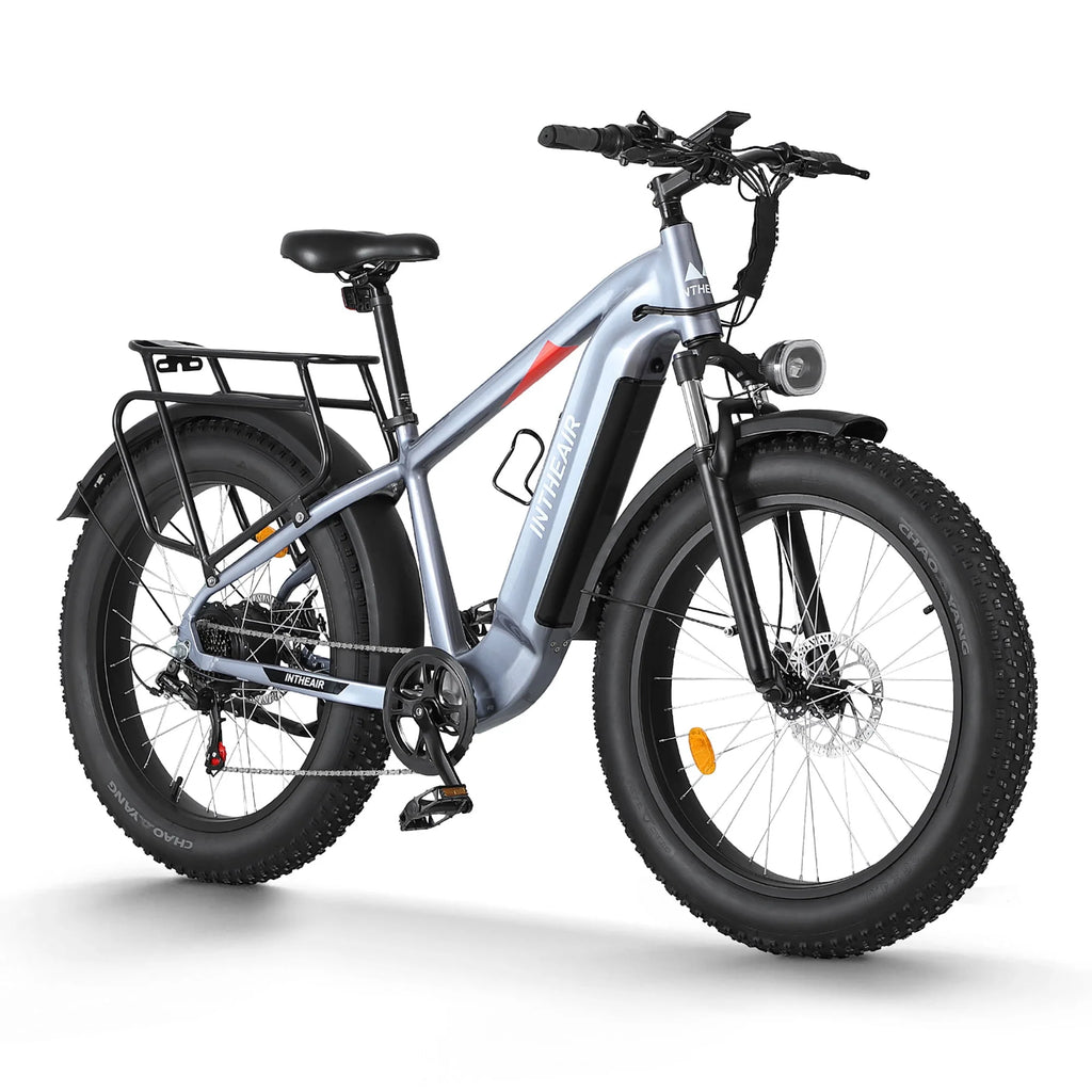 Electric Bike 26 Fat Tire 750W 48V D4182